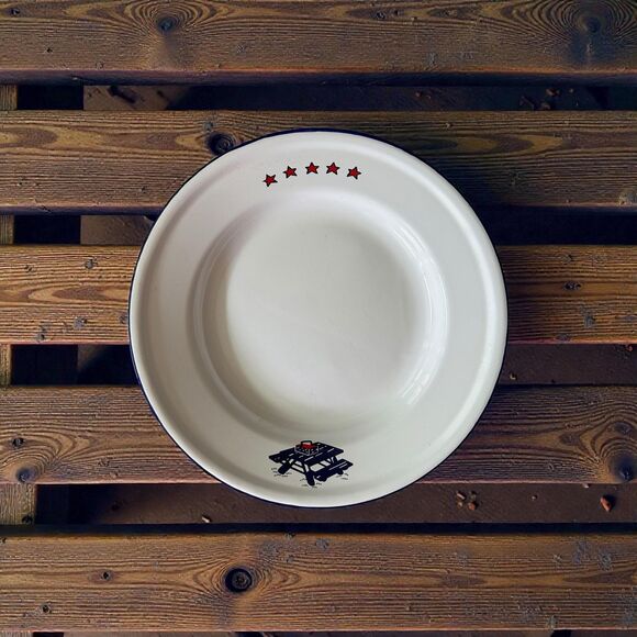 Vintage Taipro "Blue Picnic Table" Enamel Plate | 10" Mid-Century Camping Dish - Picture 1 of 5